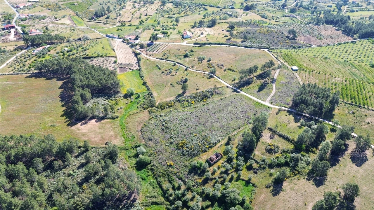Terreno Agricola ou Rústico para Venda em Vale de Prazeres e Mata da Rainha Foto 8