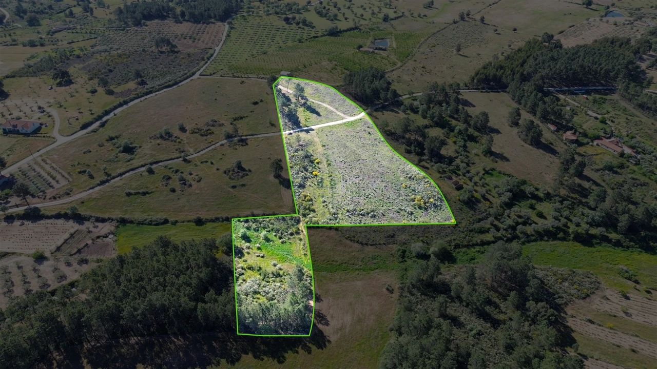 Terreno Agricola ou Rústico para Venda em Vale de Prazeres e Mata da Rainha Foto 1