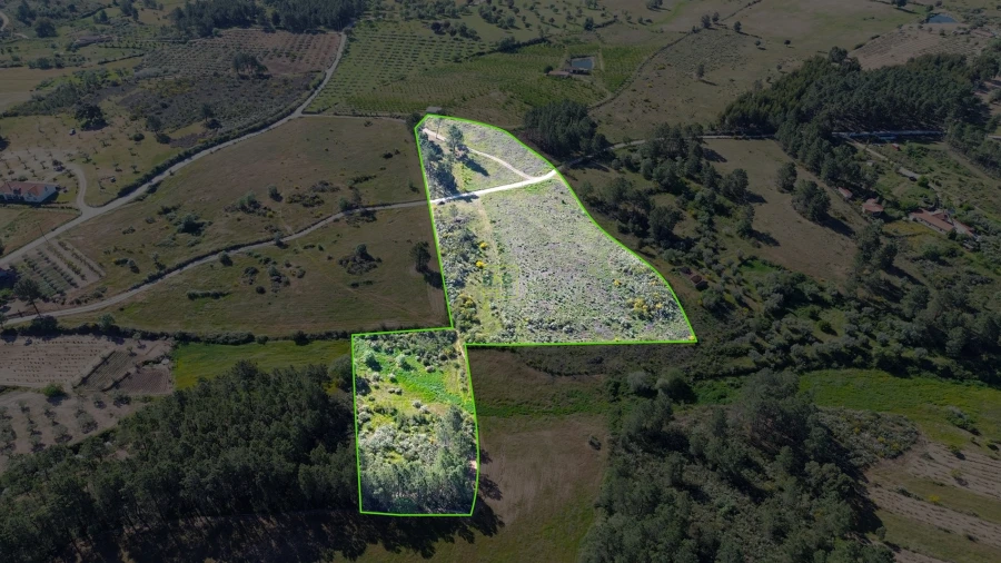 Terreno Agricola ou Rústico para Venda em Vale de Prazeres e Mata da Rainha