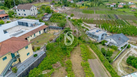 Terreno Agricola ou Rústico para Venda em Telões