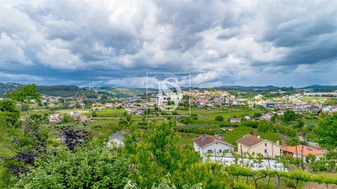 Terreno Agricola ou Rústico para Venda em Telões
