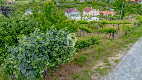 Terreno Agricola ou Rústico para Venda em Telões