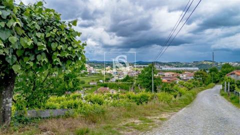 Terreno Agricola ou Rústico para Venda em Telões