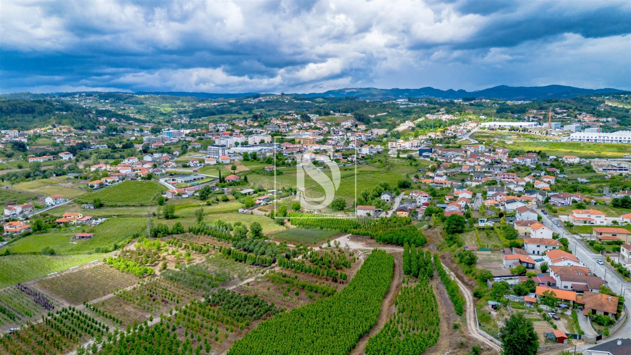 Terreno Agricola ou Rústico para Venda em Telões Foto 5