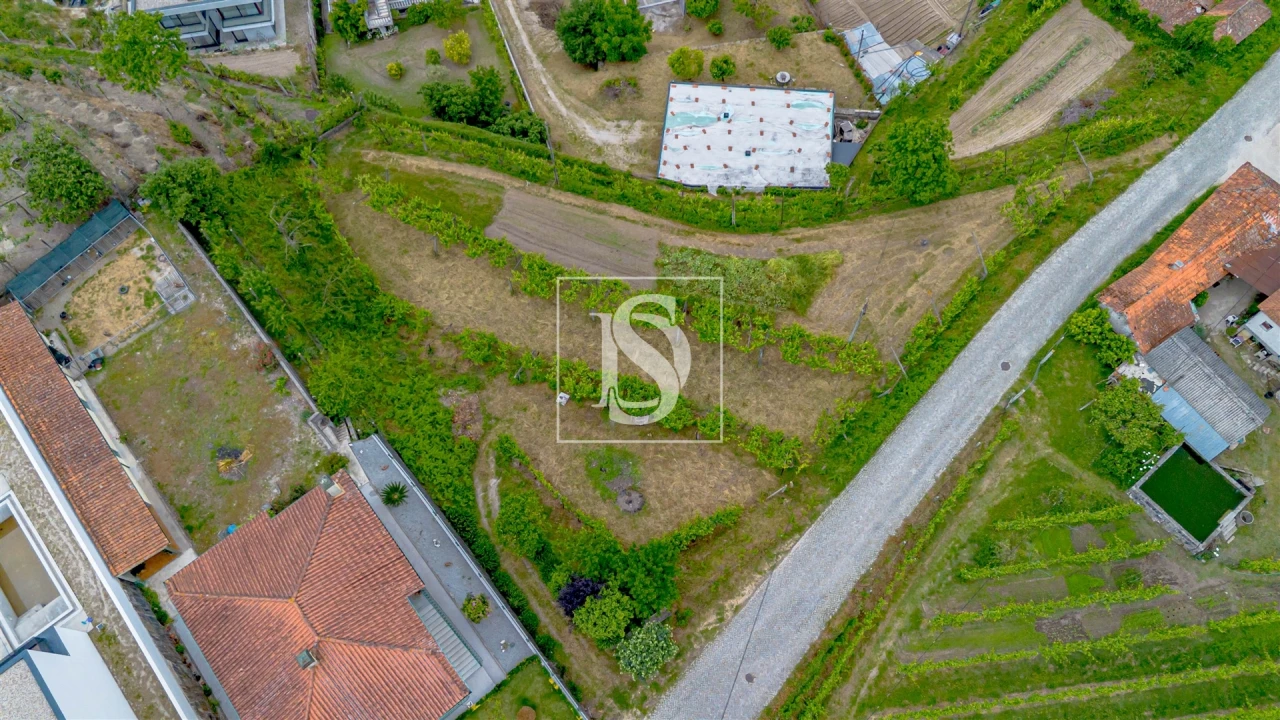 Terreno Agricola ou Rústico para Venda em Telões Foto 1