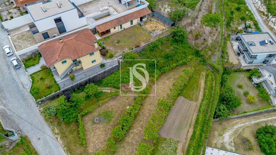 Terreno Agricola ou Rústico para Venda em Telões Foto 11