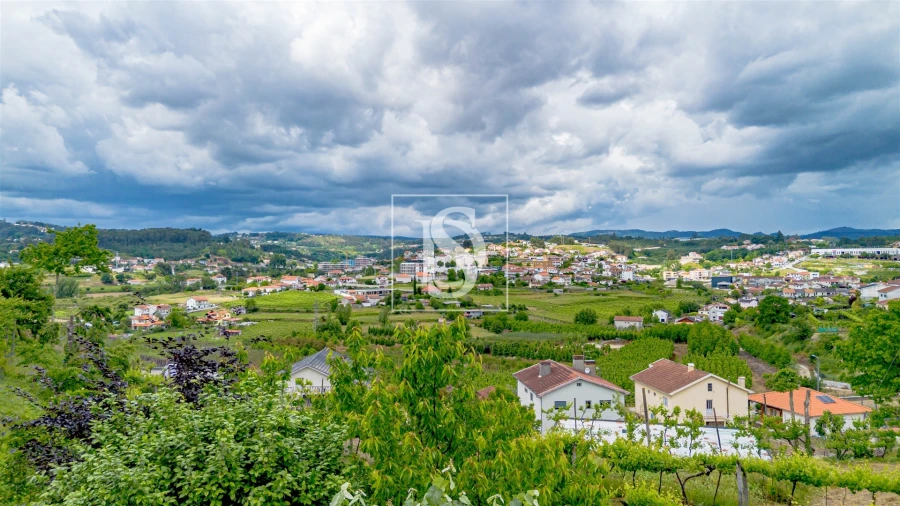 Terreno Agricola ou Rústico para Venda em Telões Foto 6