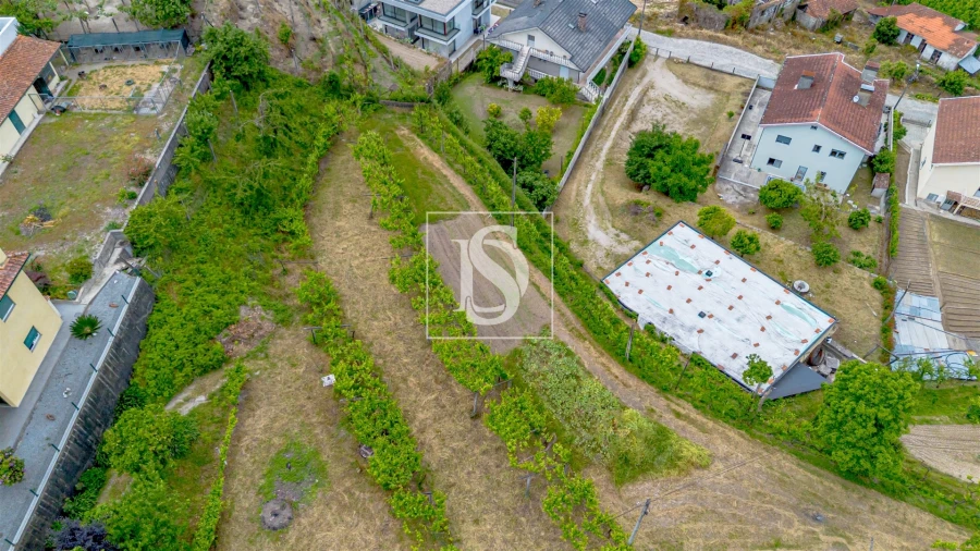 Terreno Agricola ou Rústico para Venda em Telões Foto 2