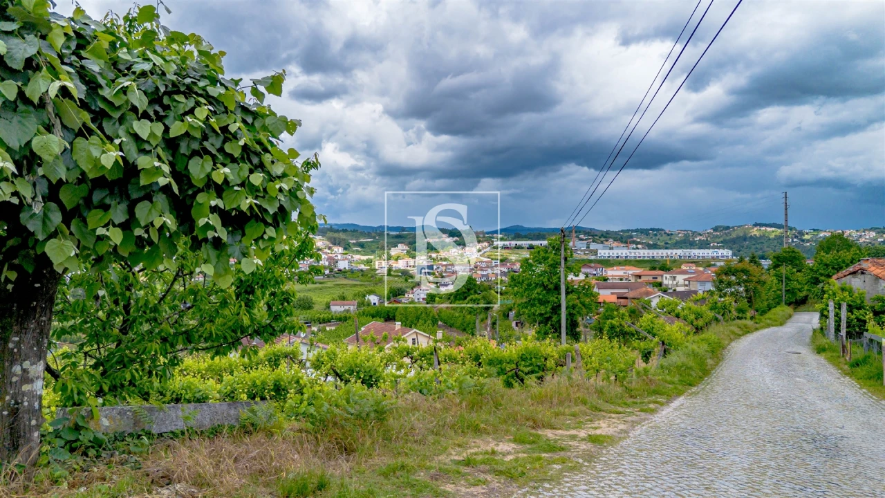 Terreno Agricola ou Rústico para Venda em Telões Foto 4