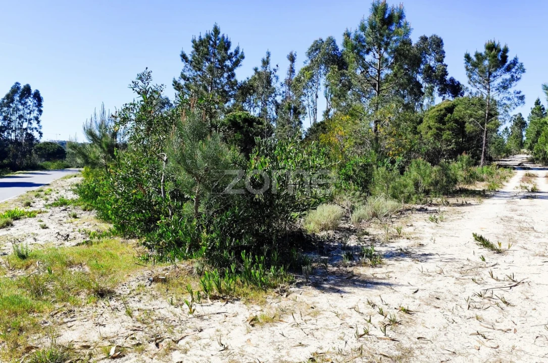 Terreno para Venda em Melides Foto 3