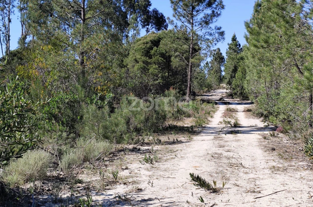 Terreno para Venda em Melides Foto 1