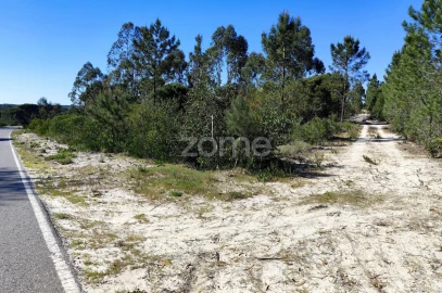 Terreno para Venda em Melides