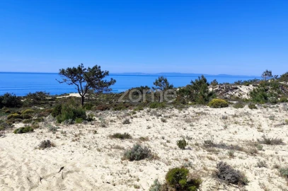 Terreno para Venda em Melides