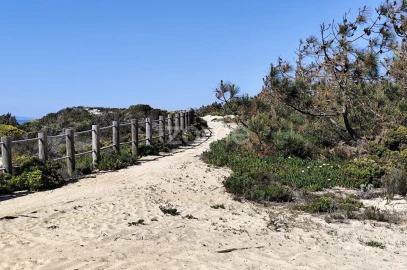 Terreno para Venda em Melides