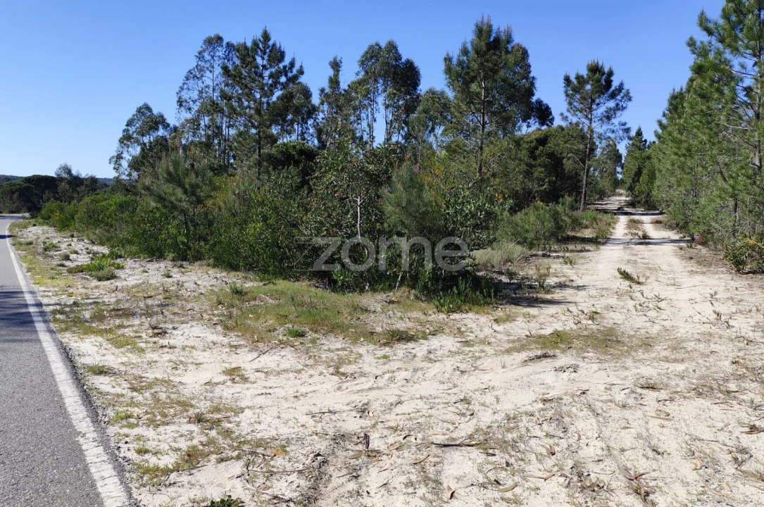 Terreno para Venda em Melides Foto 2