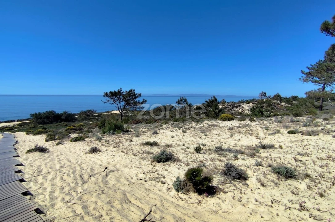 Terreno para Venda em Melides Foto 12