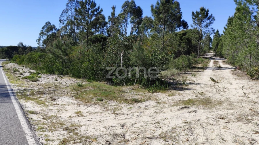 Terreno para Venda em Melides