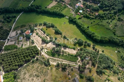 Quinta T3 para Venda em Vela