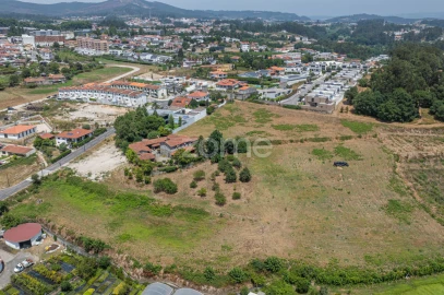 Quinta T5 para Venda em Cristelos, Boim e Ordem