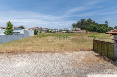 Quinta T5 para Venda em Cristelos, Boim e Ordem