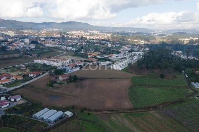 Terreno para Venda em Cristelos, Boim e Ordem