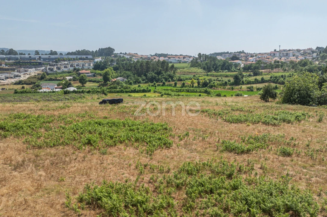 Terreno para Venda em Cristelos, Boim e Ordem Foto 18