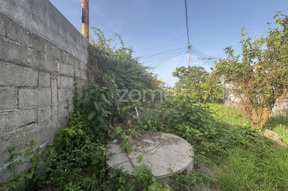 Terreno para Venda em Figueiró (Santiago e Santa Cristina)