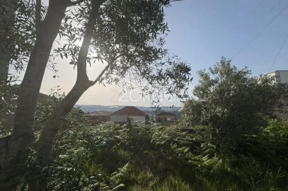 Terreno para Venda em Figueiró (Santiago e Santa Cristina)