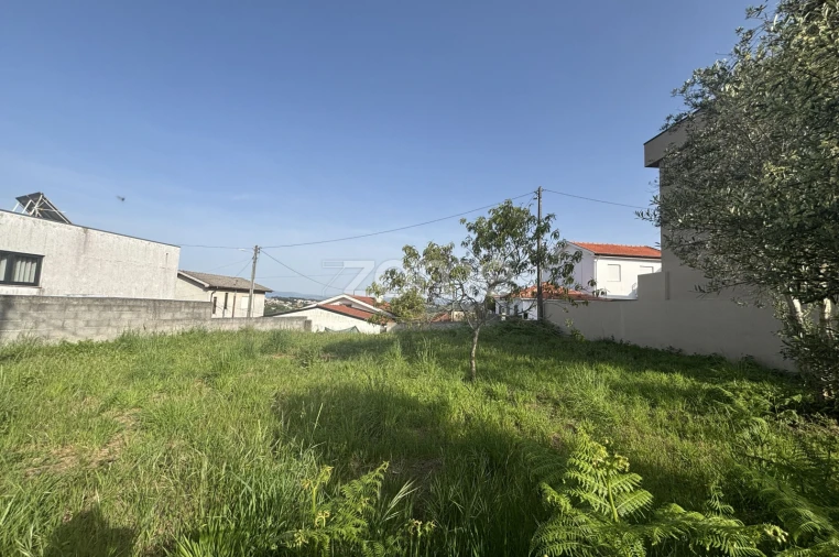 Terreno para Venda em Figueiró (Santiago e Santa Cristina) Foto 5