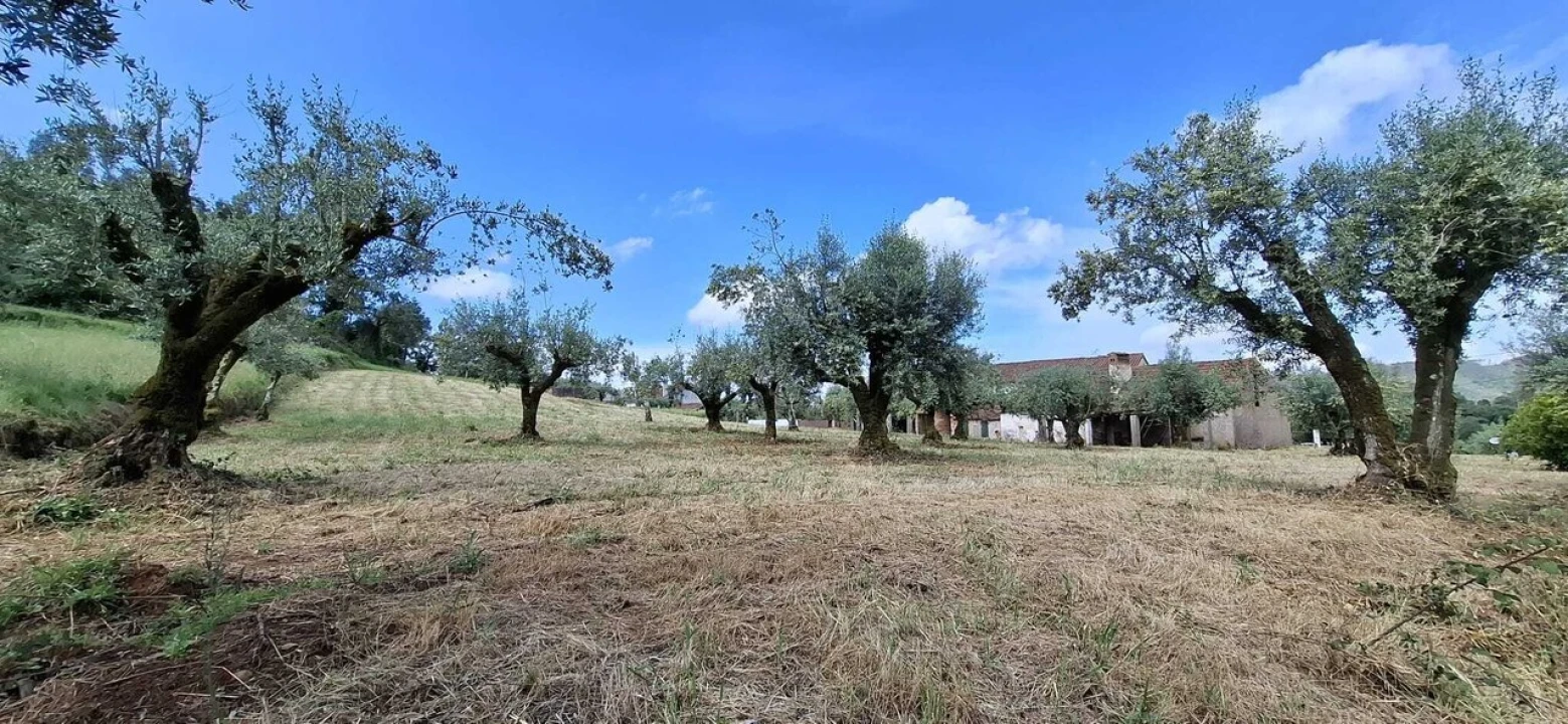 Moradia T2 para Venda em Ferreira do Zezere Foto 9