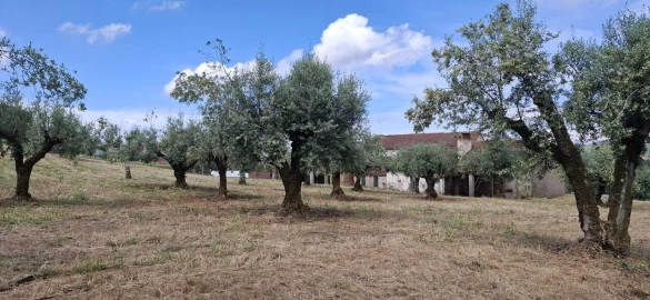 Moradia T2 para Venda em Ferreira do Zezere