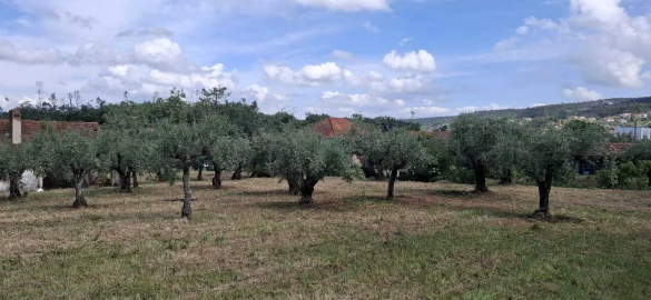 Moradia T2 para Venda em Ferreira do Zezere
