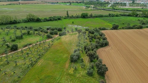 Terreno para Venda em Vila Nova da Barquinha