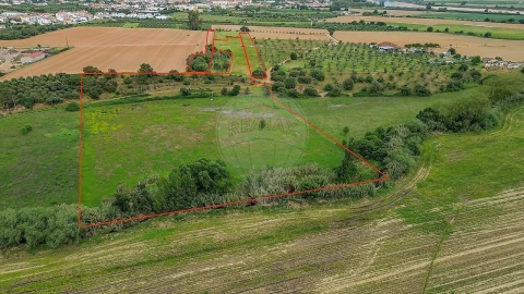Terreno para Venda em Vila Nova da Barquinha