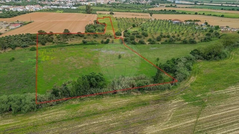 Terreno para Venda em Vila Nova da Barquinha
