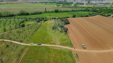 Terreno para Venda em Vila Nova da Barquinha