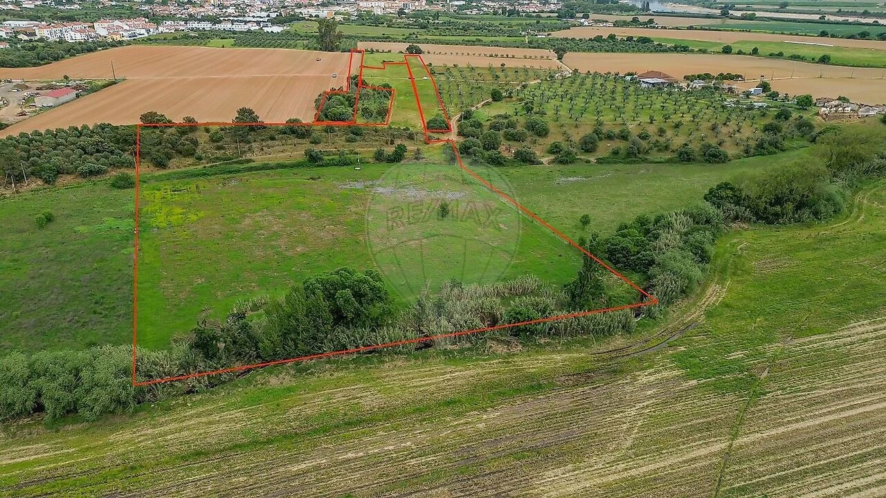Terreno para Venda em Vila Nova da Barquinha Foto 1