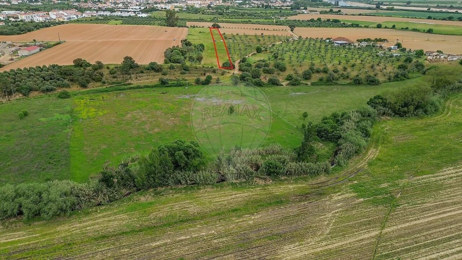 Terreno para Venda em Vila Nova da Barquinha Foto 4