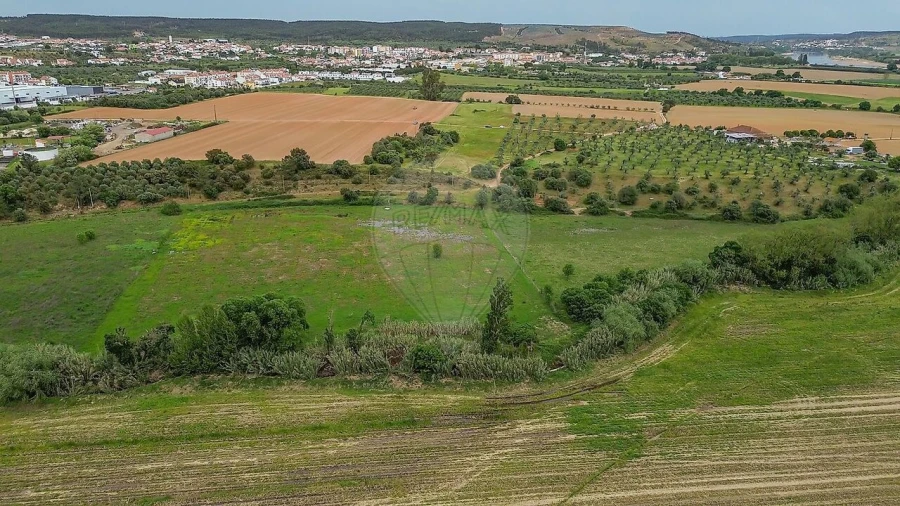 Terreno para Venda em Vila Nova da Barquinha Foto 7