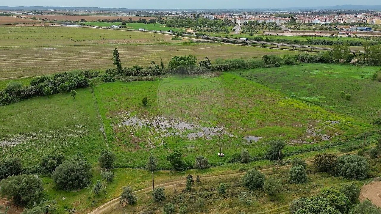 Terreno para Venda em Vila Nova da Barquinha Foto 3