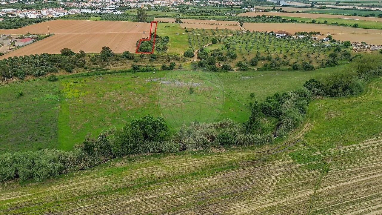 Terreno para Venda em Vila Nova da Barquinha Foto 6