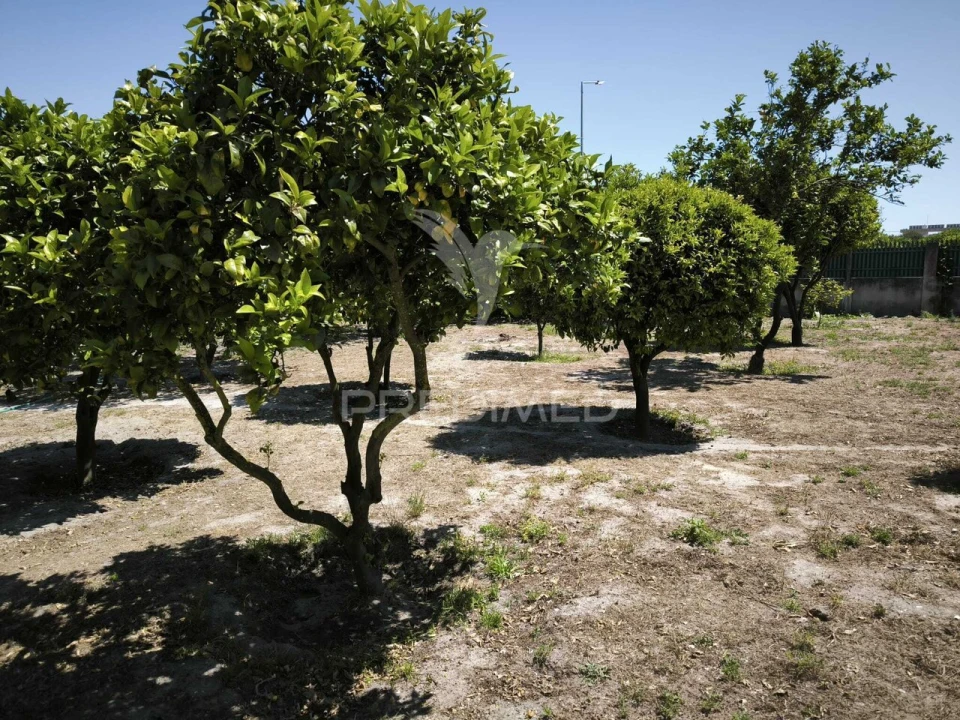 Moradia T4 para Venda em Quinta do Conde Foto 6