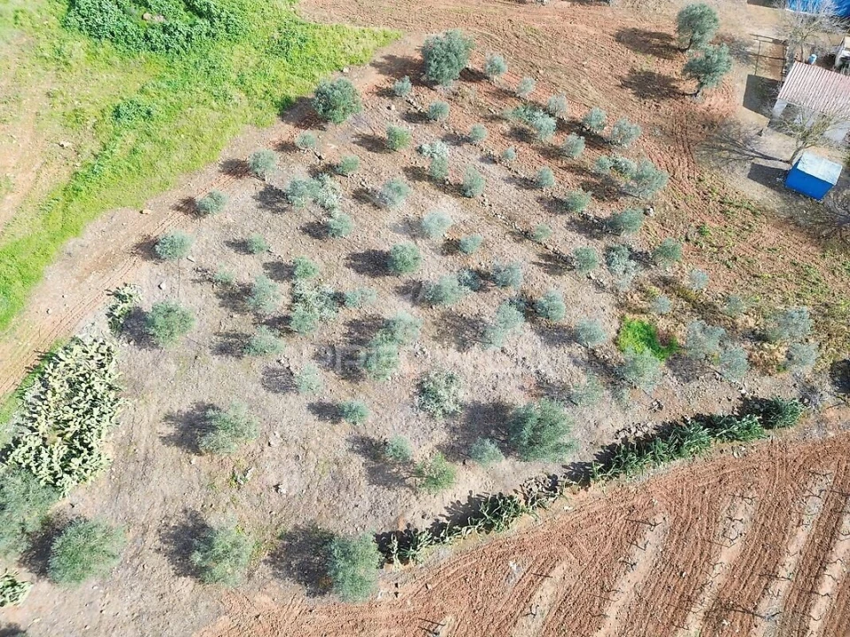 Moradia T5 para Venda em Caia, São Pedro e Alcáçova Foto 16