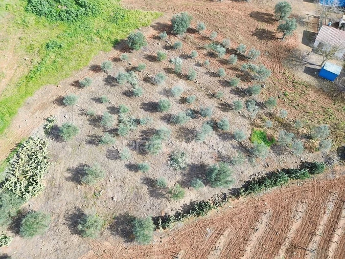 Moradia T5 para Venda em Caia, São Pedro e Alcáçova Foto 16