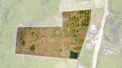 Terreno para Venda em Fajã da Ovelha