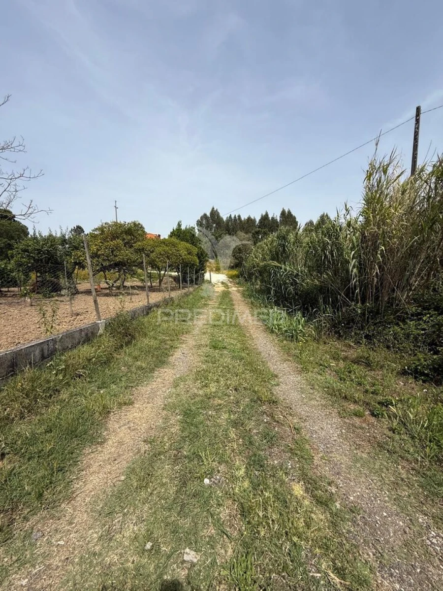 Moradia T2 para Venda em Marvila, Ribeira Santarém, São Salvador, São Nicolau Foto 23