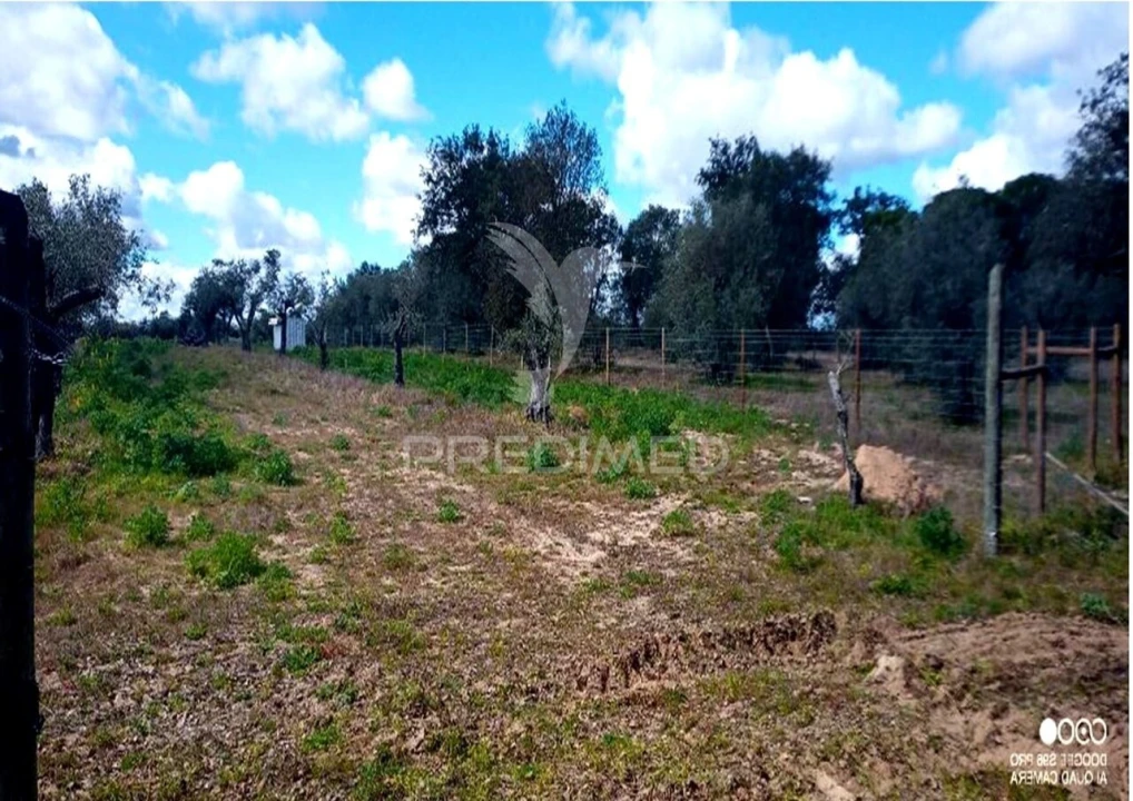 Terreno para Venda em Torrão Foto 6