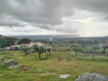 Terreno para Venda em Ribeira de Nisa e Carreiras