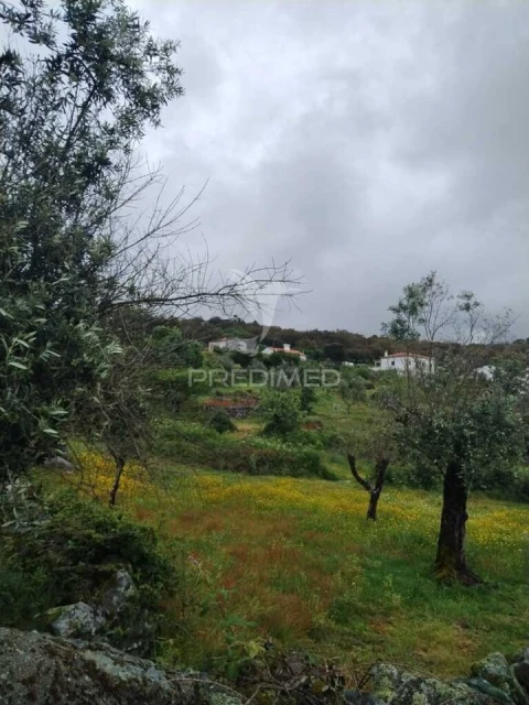 Terreno para Venda em Ribeira de Nisa e Carreiras
