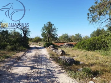 Terreno para Venda em Boliqueime